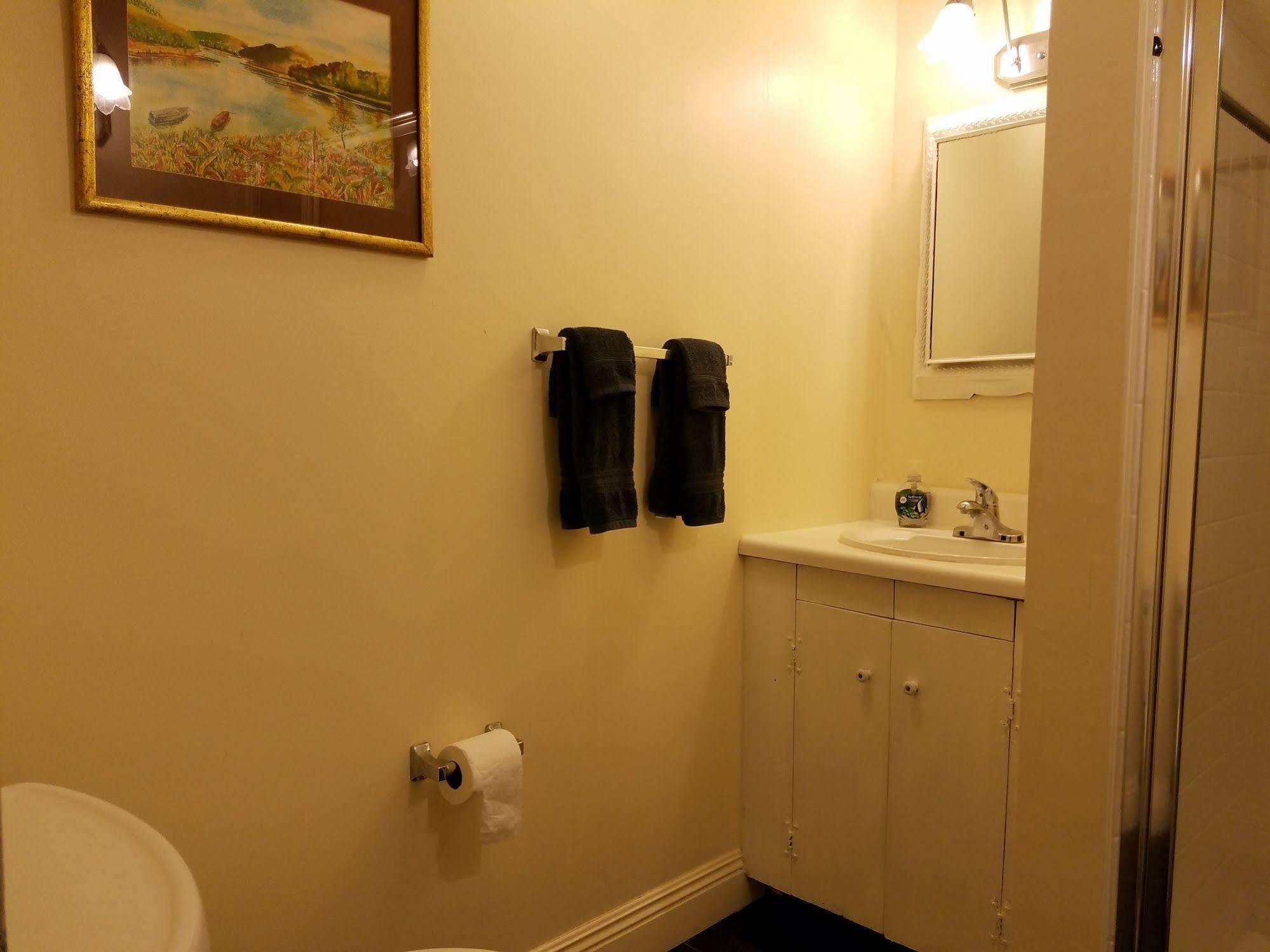 Lion'S Inn Bed And Breakfast New Orleans Dış mekan fotoğraf
